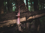 ‘Scout Strap’ Turkey Tote
