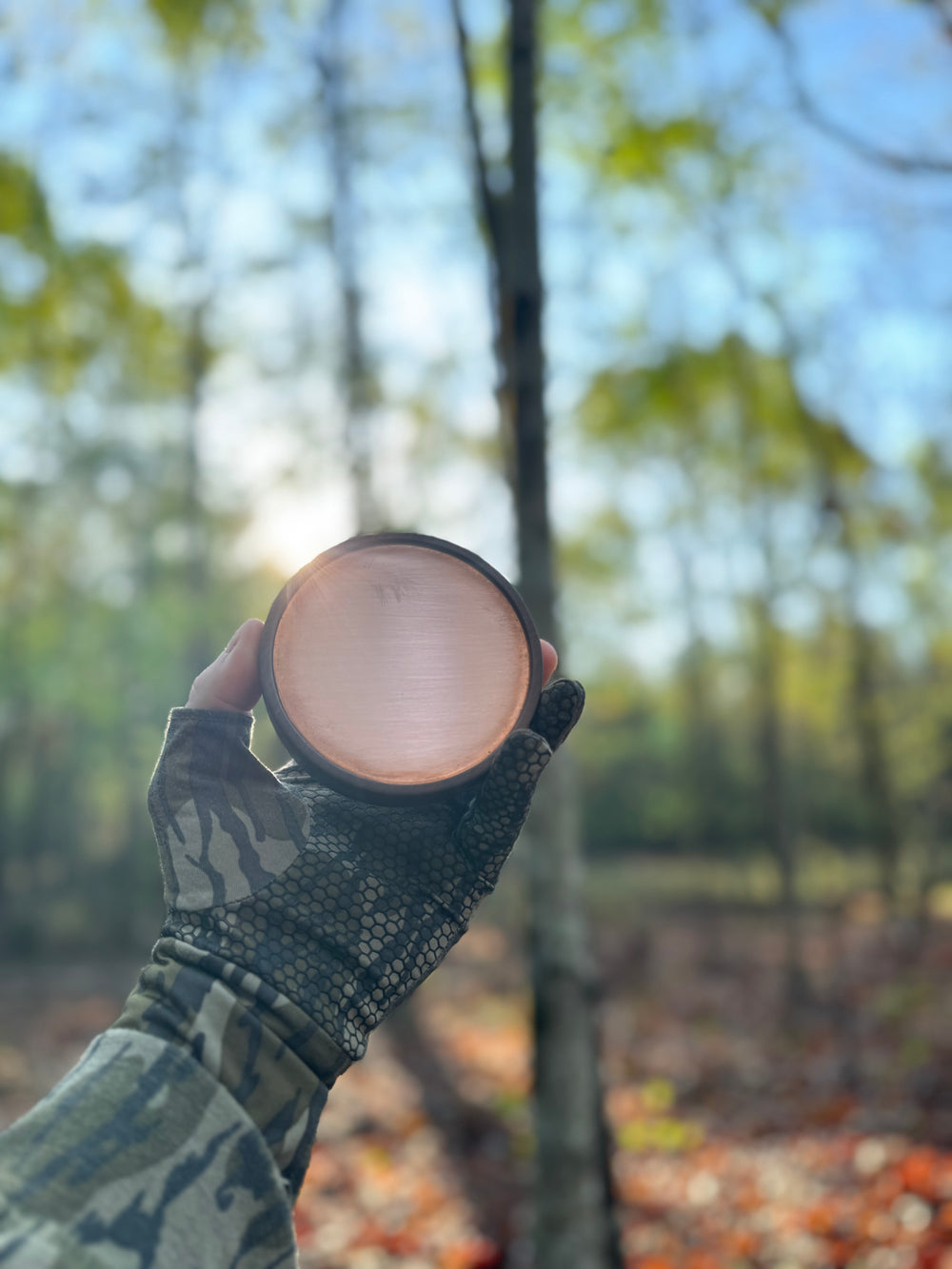 Turkey pot call being held up against a forest backdrop with the sun shining