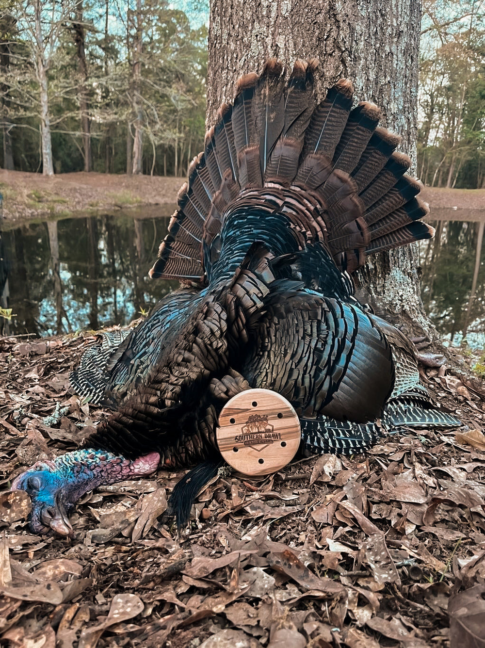 Morning Glory Pot Call
